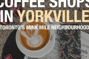 Best Coffee Shop Yorkville Toronto: Your Guide | The Ultimate Coffee Guide: Types, Brewing Methods & Best Beans