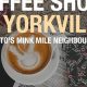 Best Coffee Shop Yorkville Toronto: Your Guide | The Ultimate Coffee Guide: Types, Brewing Methods & Best Beans