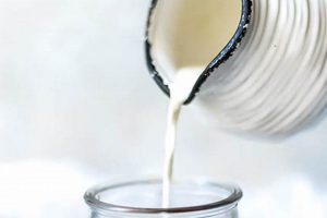 Easy Vegan Coffee Creamer Recipe: Dairy-Free Delight! The Ultimate Coffee Guide: Types, Brewing Methods & Best Beans Easy Vegan Coffee Creamer Recipe: Dairy-Free Delight! | The Ultimate Coffee Guide: Types, Brewing Methods & Best Beans
