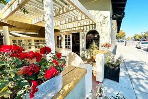 Best Coffee Shops in Paso Robles CA: Your Guide | The Ultimate Coffee Guide: Types, Brewing Methods & Best Beans