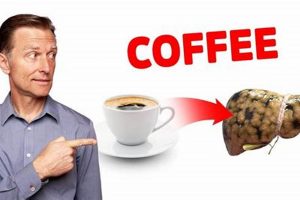 Gallstones & Coffee: Is It Safe To Drink Coffee? | The Ultimate Coffee Guide: Types, Brewing Methods & Best Beans