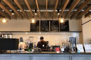 Best Coffee Shops U District: Your U District Caffeine Guide | The Ultimate Coffee Guide: Types, Brewing Methods & Best Beans