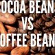 The Coffee Bean Cocoa Bean Guide: Origins & Roasting | The Ultimate Coffee Guide: Types, Brewing Methods & Best Beans