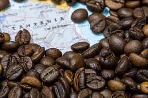 Discover the Best Tanzania Peaberry Coffee Beans Today! | The Ultimate Coffee Guide: Types, Brewing Methods & Best Beans