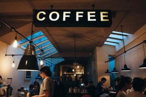 Best Coffee Shops to Work In: Your Productive Guide The Ultimate Coffee Guide: Types, Brewing Methods & Best Beans Best Coffee Shops to Work In: Your Productive Guide | The Ultimate Coffee Guide: Types, Brewing Methods & Best Beans