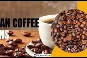 Discover Premium Indian Coffee Beans: Flavor & Aroma | The Ultimate Coffee Guide: Types, Brewing Methods & Best Beans