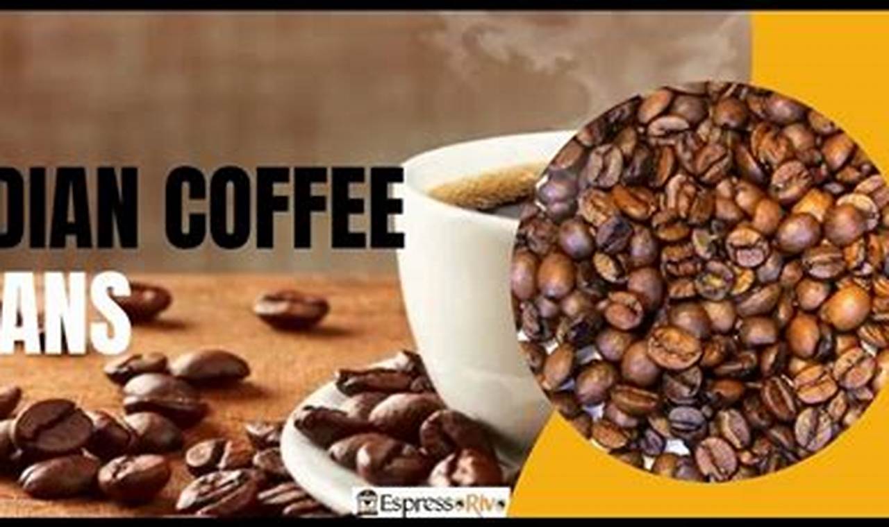 Discover Premium Indian Coffee Beans: Flavor & Aroma | The Ultimate Coffee Guide: Types, Brewing Methods & Best Beans