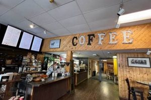 Coffee Shops In Cody Wyoming | The Ultimate Coffee Guide: Types, Brewing Methods & Best Beans