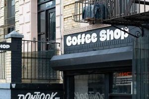 Best Coffee Shop Williamsburg Brooklyn Guide: Cafes & More | The Ultimate Coffee Guide: Types, Brewing Methods & Best Beans