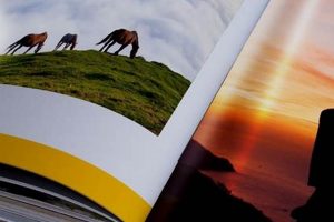 Travel Coffee Table Books | The Ultimate Coffee Guide: Types, Brewing Methods & Best Beans