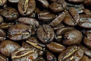 Buy Papua New Guinea Coffee Beans | Fresh &amp; Flavorful | The Ultimate Coffee Guide: Types, Brewing Methods & Best Beans