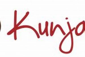 Discover Kunjani Coffee Shop: A Cozy Coffee Break Spot | The Ultimate Coffee Guide: Types, Brewing Methods & Best Beans