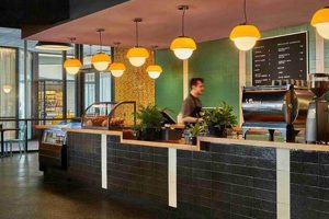 Best Coffee Shops in Iowa City: Your Local Guide | The Ultimate Coffee Guide: Types, Brewing Methods & Best Beans