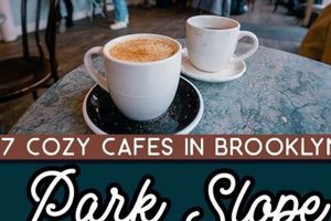 Coffee Shops In Park Slope Brooklyn | The Ultimate Coffee Guide: Types, Brewing Methods & Best Beans