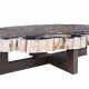 Fossil Charm: Petrified Wood Coffee Table - Nature's Art | The Ultimate Coffee Guide: Types, Brewing Methods & Best Beans