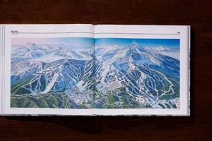 The Ultimate Skiing Coffee Table Book Guide | The Ultimate Coffee Guide: Types, Brewing Methods & Best Beans