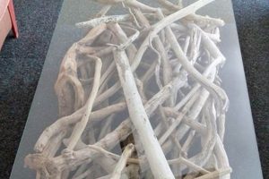 Unique Driftwood Coffee Tables: Style & Nature The Ultimate Coffee Guide: Types, Brewing Methods & Best Beans Unique Driftwood Coffee Tables: Style & Nature | The Ultimate Coffee Guide: Types, Brewing Methods & Best Beans