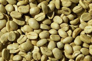 Buy Fresh Organic Unroasted Coffee Beans Today! | The Ultimate Coffee Guide: Types, Brewing Methods & Best Beans