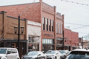 Coffee Shops In Greer Sc | The Ultimate Coffee Guide: Types, Brewing Methods & Best Beans