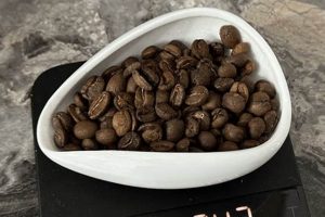 Buy The Perfect Coffee Beans Dosing Cup - [Brand] | The Ultimate Coffee Guide: Types, Brewing Methods & Best Beans