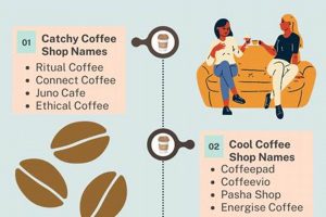 Top Best Coffee Shop Names: Ideas & Inspiration The Ultimate Coffee Guide: Types, Brewing Methods & Best Beans Top Best Coffee Shop Names: Ideas & Inspiration | The Ultimate Coffee Guide: Types, Brewing Methods & Best Beans