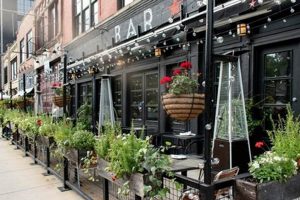 Best Coffee Shops Fulton Market: Guide & Reviews The Ultimate Coffee Guide: Types, Brewing Methods & Best Beans Best Coffee Shops Fulton Market: Guide & Reviews | The Ultimate Coffee Guide: Types, Brewing Methods & Best Beans