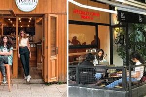 Best Coffee Shop in Mt. Lebanon: Your Local Guide | The Ultimate Coffee Guide: Types, Brewing Methods & Best Beans