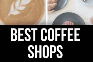 Your Guide to the Best Coffee Shops in Grand Rapids, MI (2024) The Ultimate Coffee Guide: Types, Brewing Methods & Best Beans Your Guide to the Best Coffee Shops in Grand Rapids, MI (2024) | The Ultimate Coffee Guide: Types, Brewing Methods & Best Beans