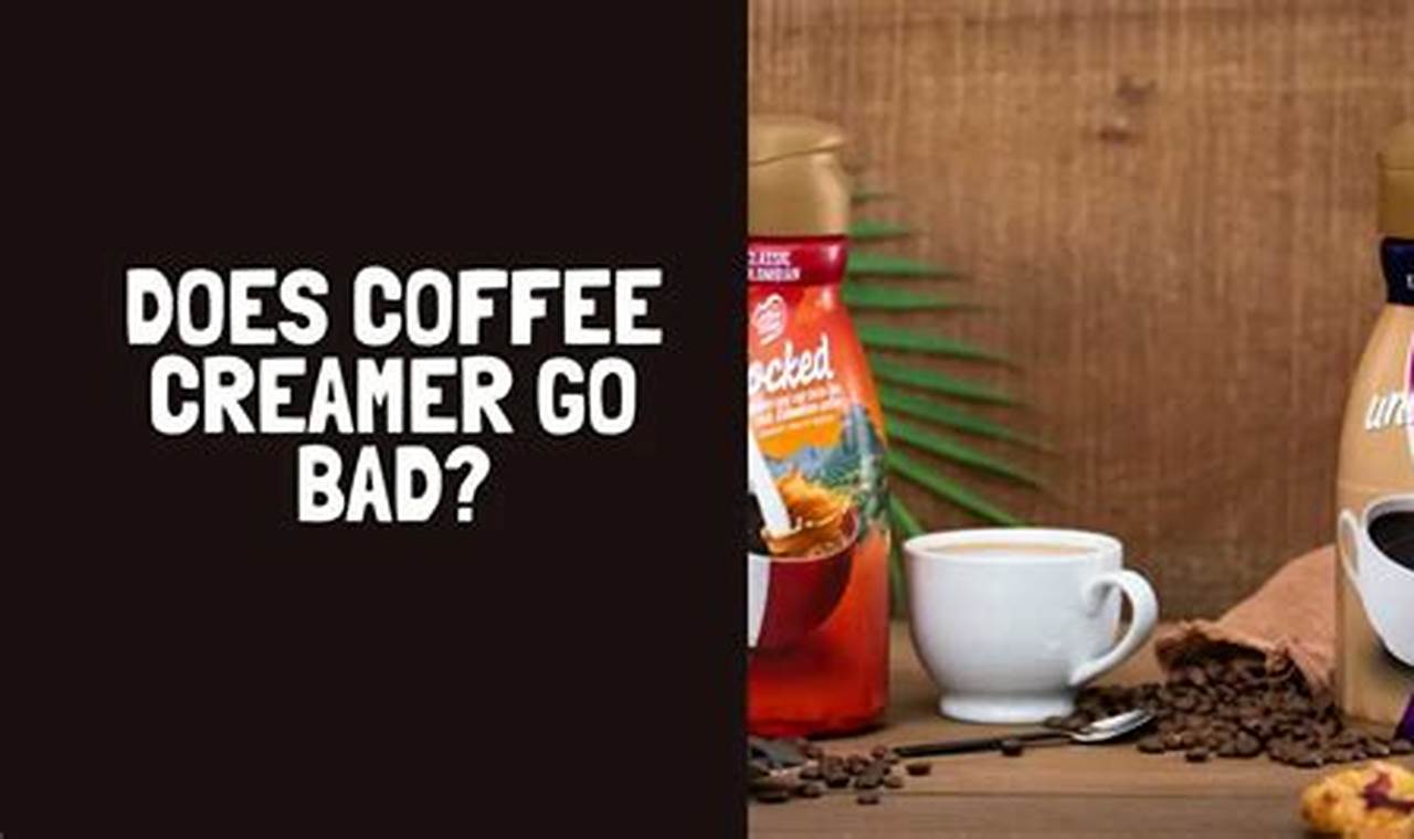 Does Coffee Creamer Go Bad? The Ultimate Guide + Tips | The Ultimate Coffee Guide: Types, Brewing Methods & Best Beans