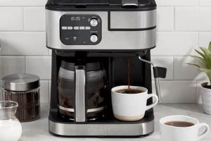 Coffee Brewing: 12 Cup Coffee Maker - How Much Coffee to Use? | The Ultimate Coffee Guide: Types, Brewing Methods & Best Beans