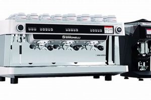 Simonelli Coffee Machine: Premium Brews &amp; Care Guide | The Ultimate Coffee Guide: Types, Brewing Methods & Best Beans