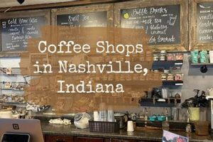Best Indiana Coffee Shops: Your Local Guide | The Ultimate Coffee Guide: Types, Brewing Methods & Best Beans