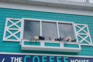 Best Coffee Shop Near Rehoboth Beach: Your Guide | The Ultimate Coffee Guide: Types, Brewing Methods & Best Beans