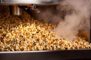 DIY Coffee: Popcorn Machine Coffee Roasting At Home Guide | The Ultimate Coffee Guide: Types, Brewing Methods & Best Beans