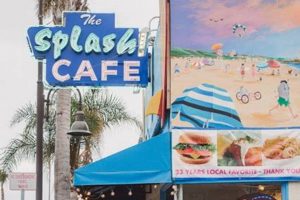 Best Pismo Beach Coffee Shops: Your Coastal Caffeine Guide | The Ultimate Coffee Guide: Types, Brewing Methods & Best Beans