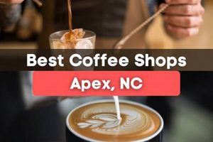 Coffee Shops In Apex Nc | The Ultimate Coffee Guide: Types, Brewing Methods & Best Beans