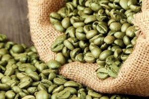 Buy Bulk: Raw Coffee Beans Wholesale - Fresh! | The Ultimate Coffee Guide: Types, Brewing Methods & Best Beans