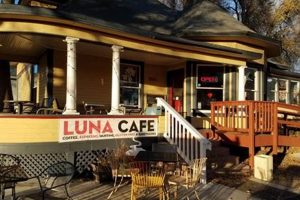 Best Coffee Shop Longmont, CO: A Local's Guide | The Ultimate Coffee Guide: Types, Brewing Methods & Best Beans