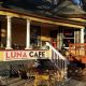 Best Coffee Shop Longmont, CO: A Local's Guide | The Ultimate Coffee Guide: Types, Brewing Methods & Best Beans