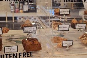 Best Coffee Shop Exeter NH Guide: Local Brews & More | The Ultimate Coffee Guide: Types, Brewing Methods & Best Beans