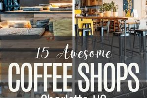 Best Coffee Shops in Hickory, NC: Local Brews & More | The Ultimate Coffee Guide: Types, Brewing Methods & Best Beans