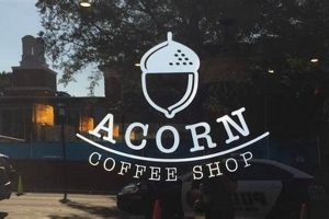 Your Local Acorn Coffee Shop: A Cozy Brew Spot! | The Ultimate Coffee Guide: Types, Brewing Methods & Best Beans