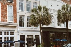Best Coffee Shops in Charleston SC: Your Local Guide | The Ultimate Coffee Guide: Types, Brewing Methods & Best Beans