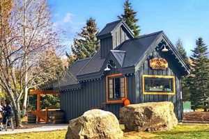 Best Coffee Shop Park City Guide: Cafes & More! | The Ultimate Coffee Guide: Types, Brewing Methods & Best Beans