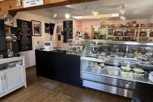 Best Coffee Shops in Rio Rancho, NM + More | The Ultimate Coffee Guide: Types, Brewing Methods & Best Beans