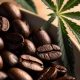 1890's Coffee Beans: THC Edible History? | The Ultimate Coffee Guide: Types, Brewing Methods & Best Beans