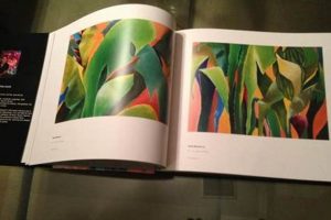 Best Art Coffee Table Books for Your Home & More | The Ultimate Coffee Guide: Types, Brewing Methods & Best Beans