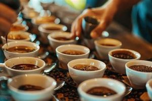 Best Coffee Cupping Cups: Evaluate Like a Pro The Ultimate Coffee Guide: Types, Brewing Methods & Best Beans Best Coffee Cupping Cups: Evaluate Like a Pro | The Ultimate Coffee Guide: Types, Brewing Methods & Best Beans