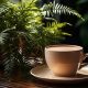 Care Guide: Grow Your Own Coffee Cup Plant Today! | The Ultimate Coffee Guide: Types, Brewing Methods & Best Beans