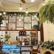 Best Coffee Shops in NoLIta: Your Caffeinated Guide | The Ultimate Coffee Guide: Types, Brewing Methods & Best Beans